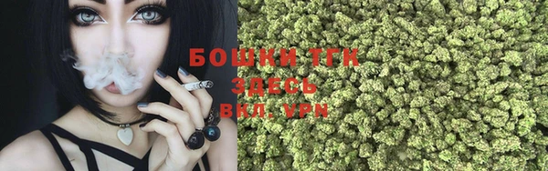 винт Горно-Алтайск