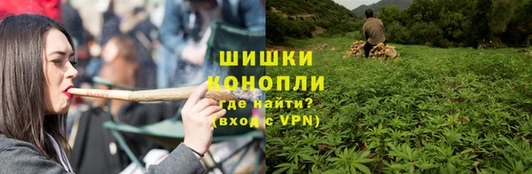 винт Горно-Алтайск